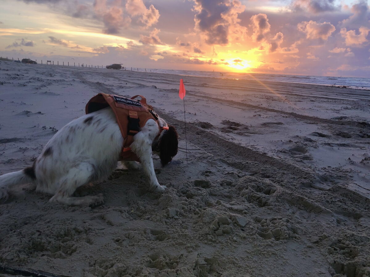 Cleanup assessment
